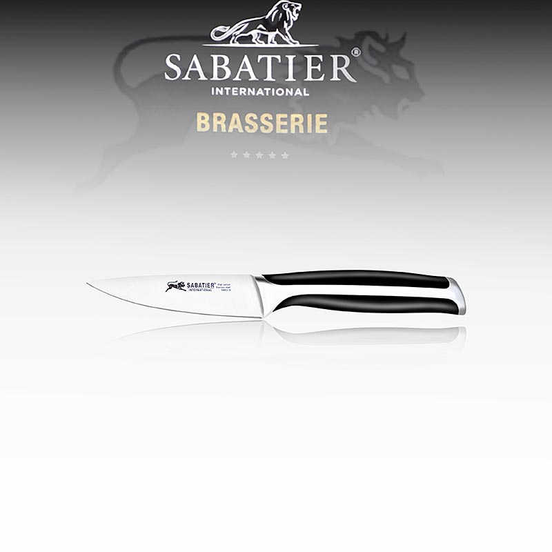 Officerkniv (spets- och garneringskniv), Sabatier International, 1 st