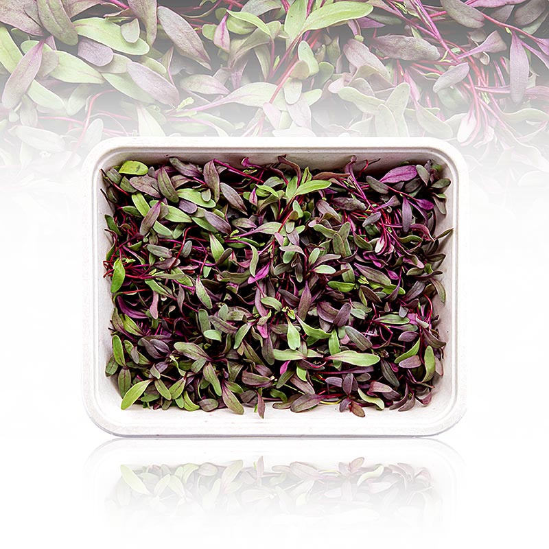 Fullpackade microgreens "Rödbetor", helt unga blad/groddar, 50 g