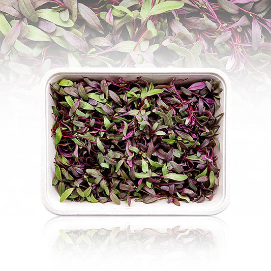 Fullpackade microgreens "Rödbetor", helt unga blad/groddar, 50 g