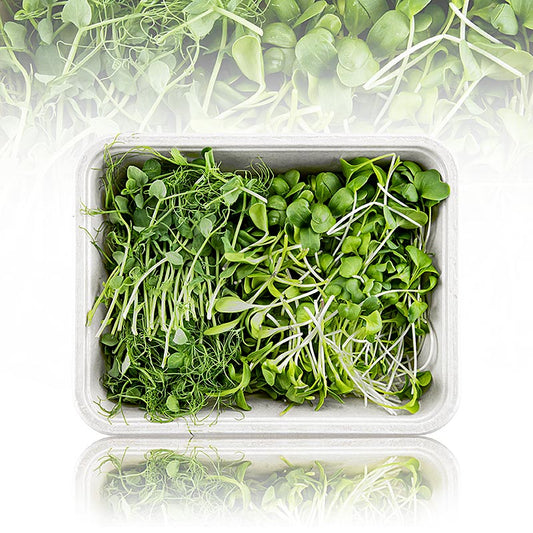 fullpackad Microgreens MIX "MiniGreenBox", 3 sorter mycket unga blad / groddar, 90 g, 3 x 30g