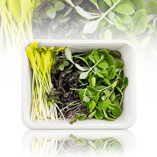 fullpackad Microgreens MIX "MiniColorBox", 3 sorter mycket unga blad/groddar, 90 g, 3 x 30g