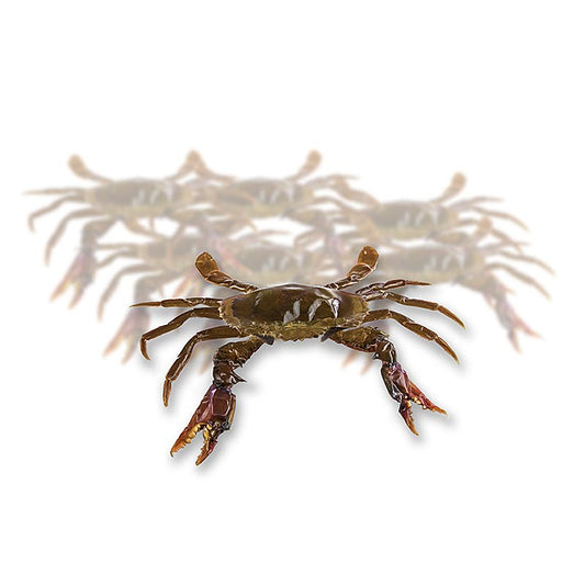 Soft Shell mangrovekrabbor, JUMBO, BW, fryst, 1 kg