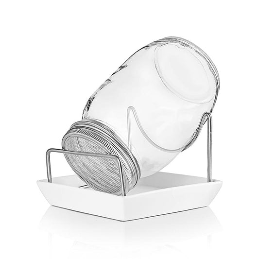 Glasburk för odling av groddar och plantor, Ellenello, 1 st