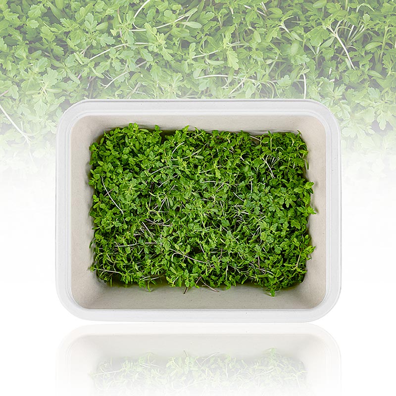 Fullpackade microgreens "Tagete Lemon", unga blad/groddar, 25 g