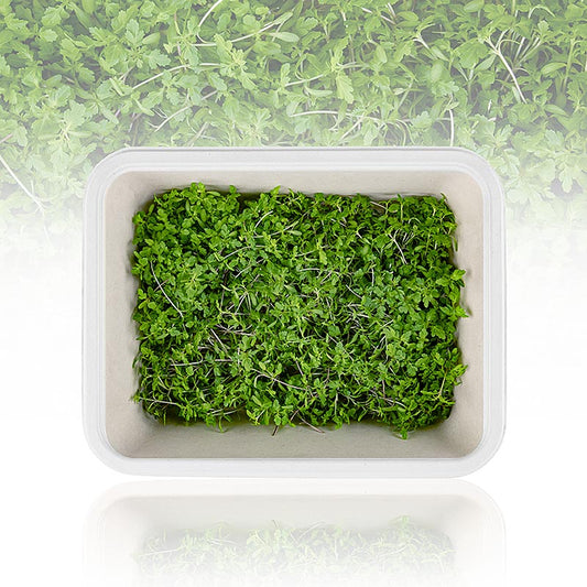 Fullpackade microgreens "Tagete Lemon", unga blad/groddar, 25 g