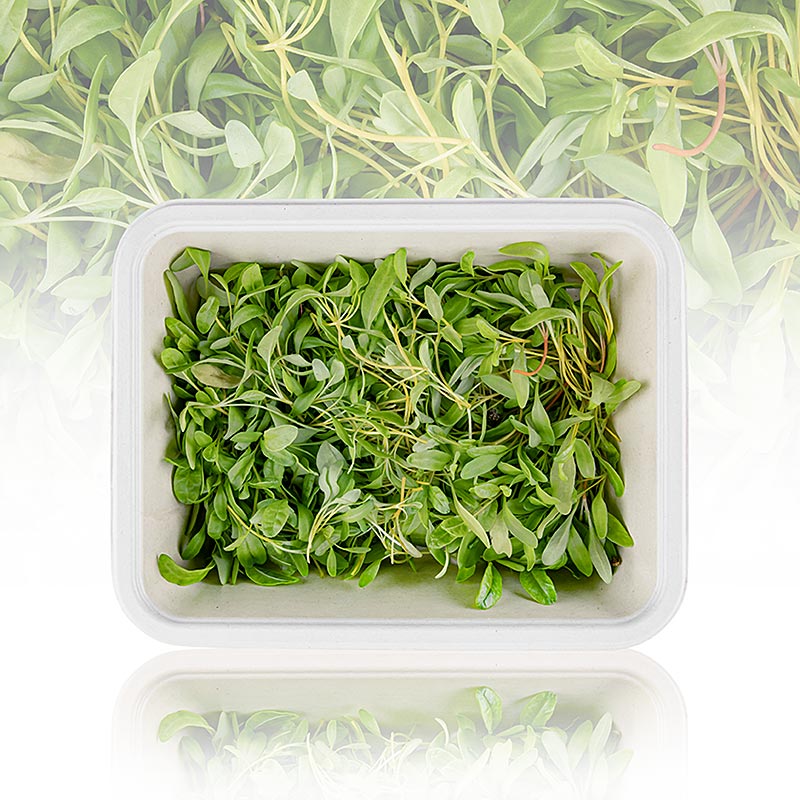 vollgepackt Microgreens "Gulbeta", unga blad/groddar, 50 g