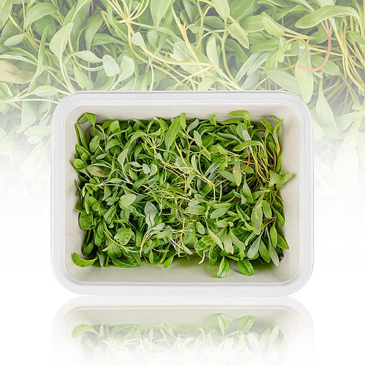 vollgepackt Microgreens "Gulbeta", unga blad/groddar, 50 g