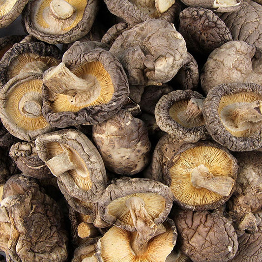 Torkade shiitakesvampar (stora, ø 6–4 cm), 500 g