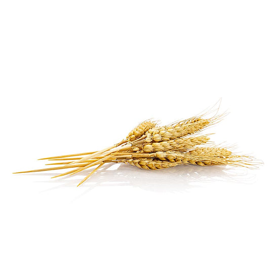 Engångsspett av veteax (naturprodukt), 20 cm, 50 st