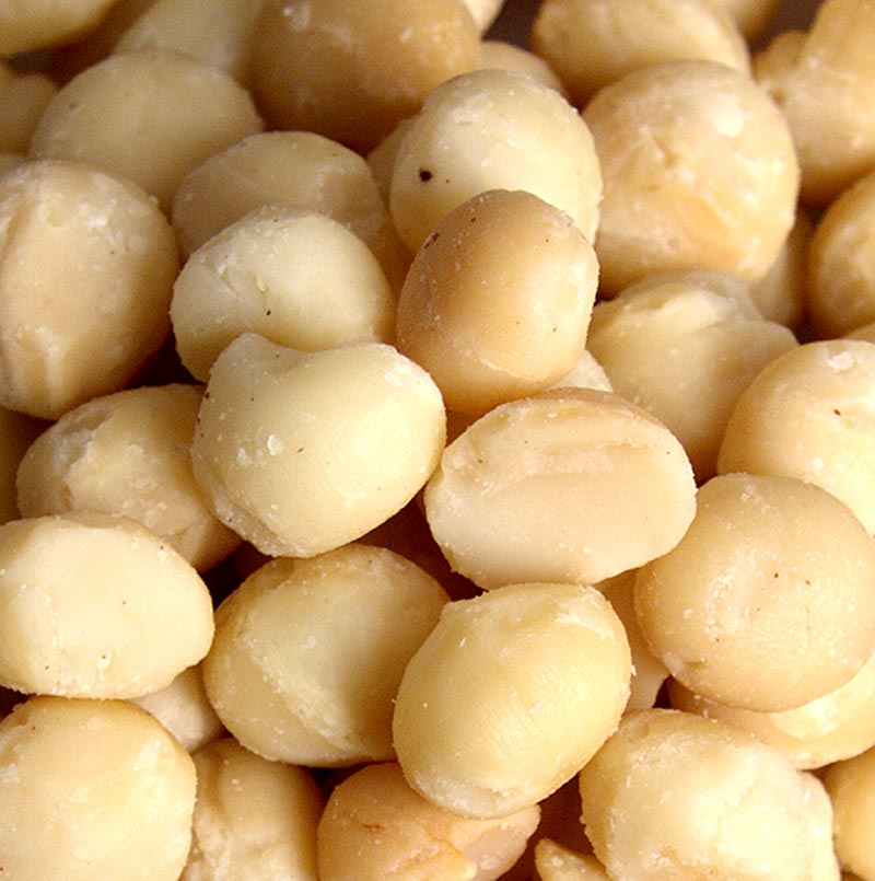 Macadamianötter, hela, rostade, med solrosolja, saltade, 1 kg