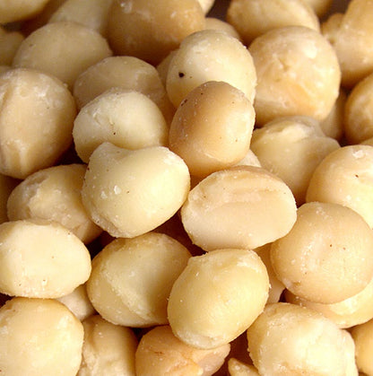 Macadamianötter, hela, rostade, med solrosolja, saltade, 1 kg